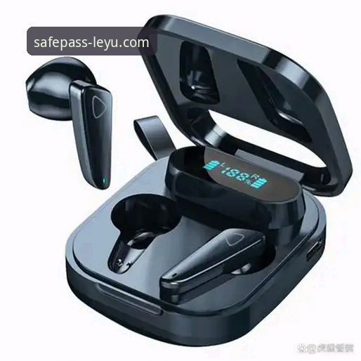 乐鱼体育官网登录入口深度评测：安全通道、用户体验与核心问题全解析